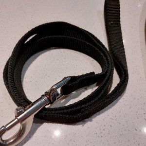new 4' leash with sturdy buckle.